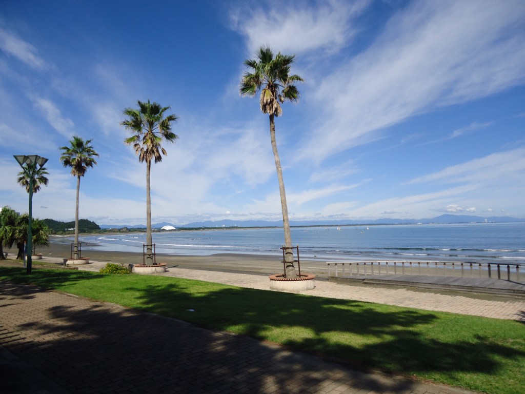 Aoshima Island beach view featuring palm trees, blue sky, and calm waters.
