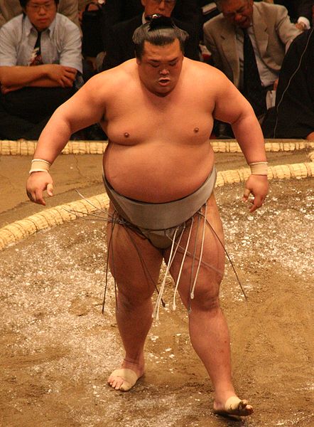 A sumo wrestler in the ring, showing the traditional attire and stance associated with the sport.