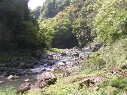 A serene river flowing through a lush green valley in Takachiho, Japan, surrounded by dense trees and rocky formations.