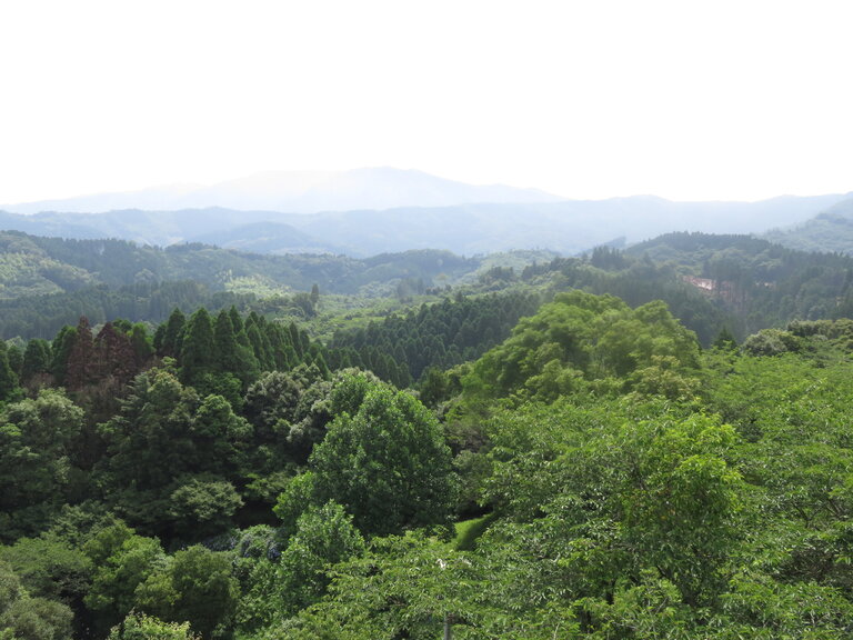 Panoramic view of lush green mountains and valleys in Kyushu, Japan.